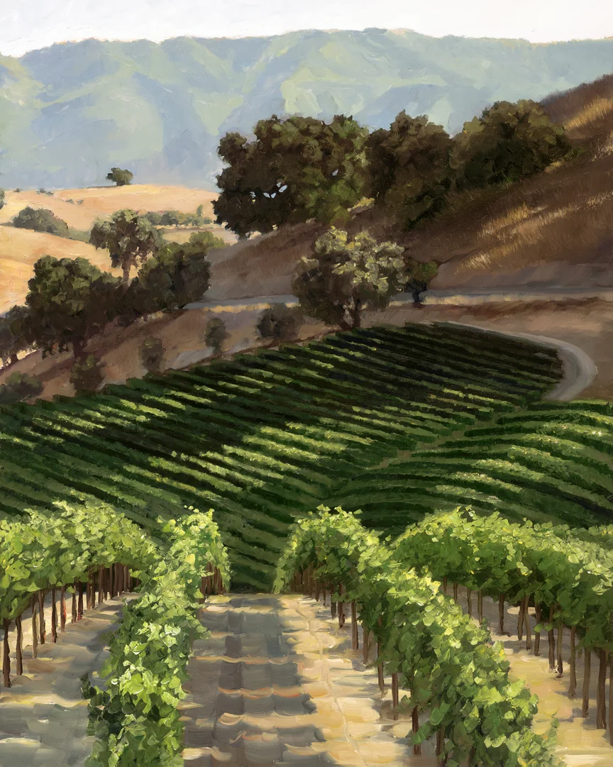 Hillside Vineyard.jpg
