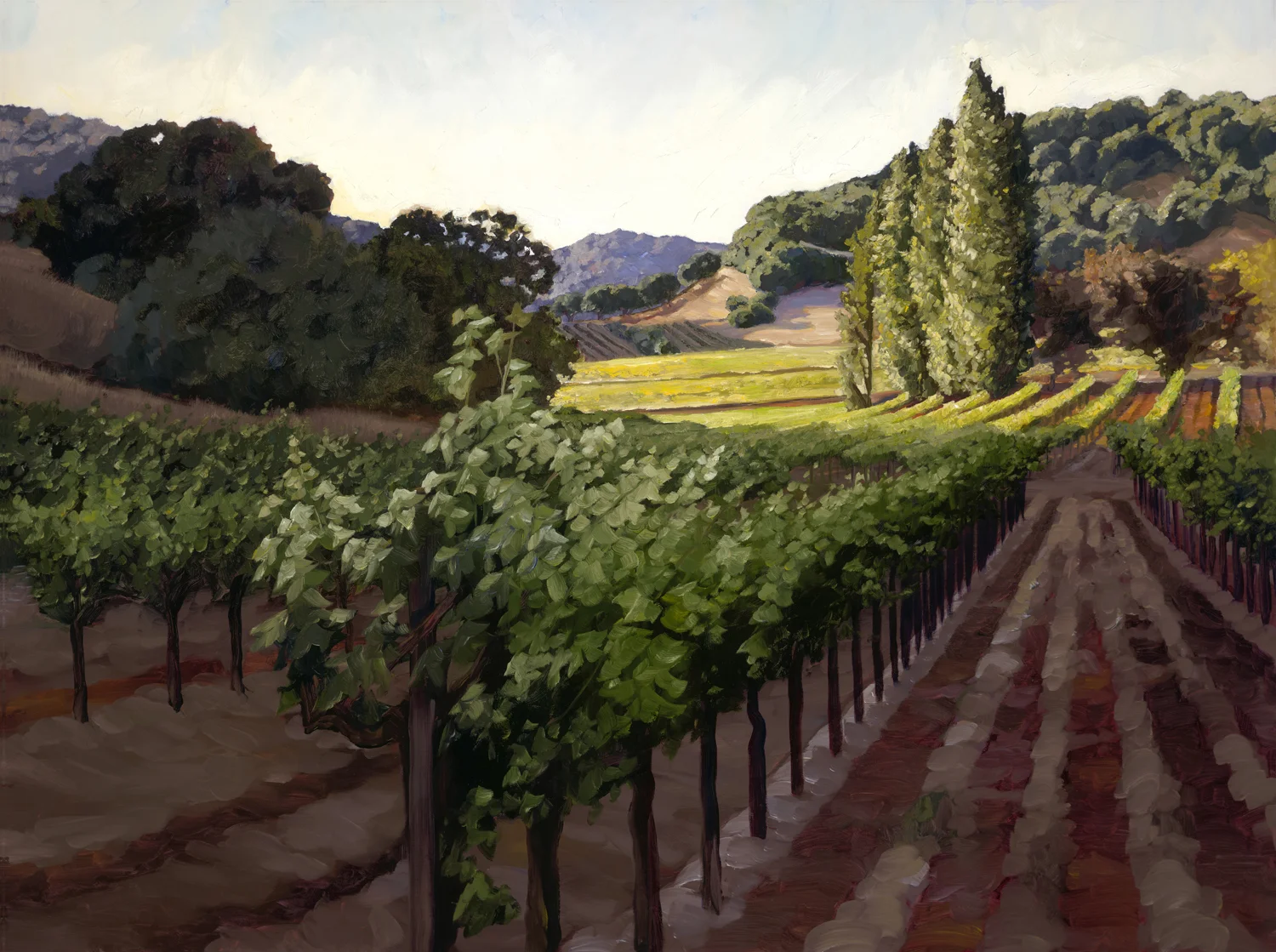 Sonoma Evening.jpg