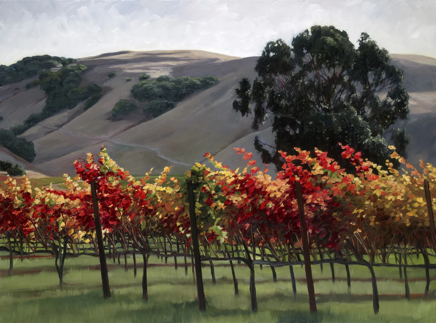 Sonoma In The Fall.jpg
