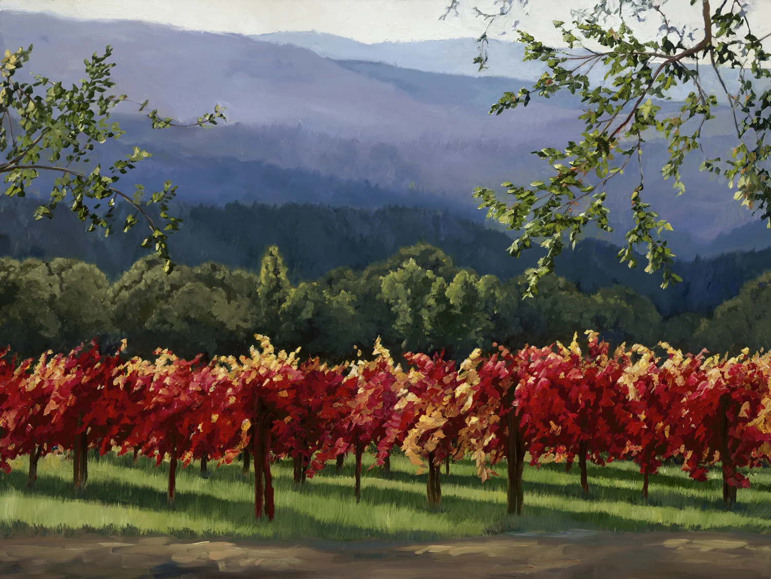 St. Helena Red.jpg