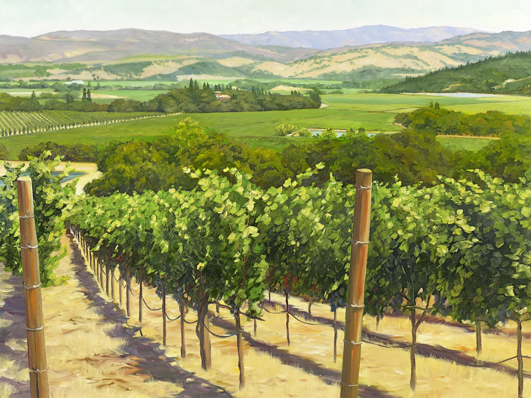 Summer In The Valley.jpg