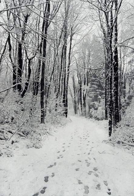 WinterPath10.gif