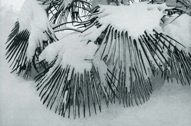 SnowPatterns09.jpg
