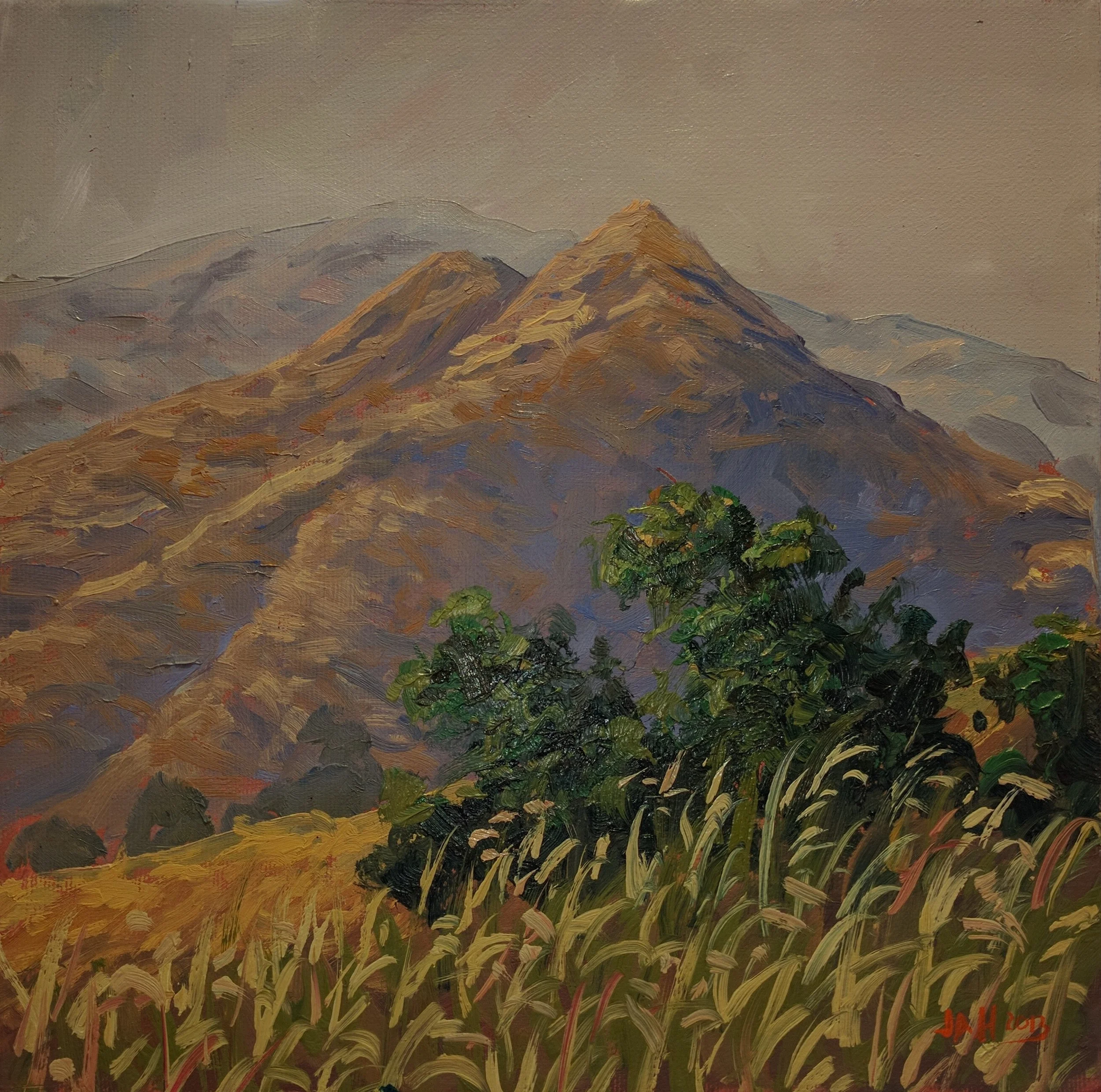 Maguire Peak 10 x 10.jpg