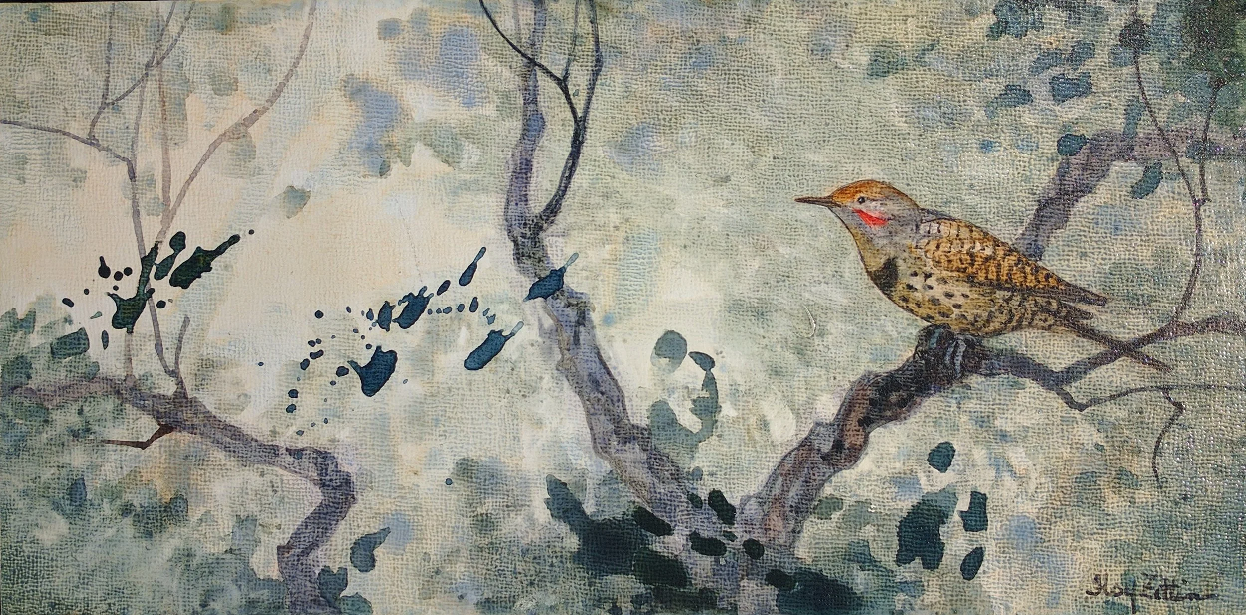 Northern Flicker 12 x 6.jpg