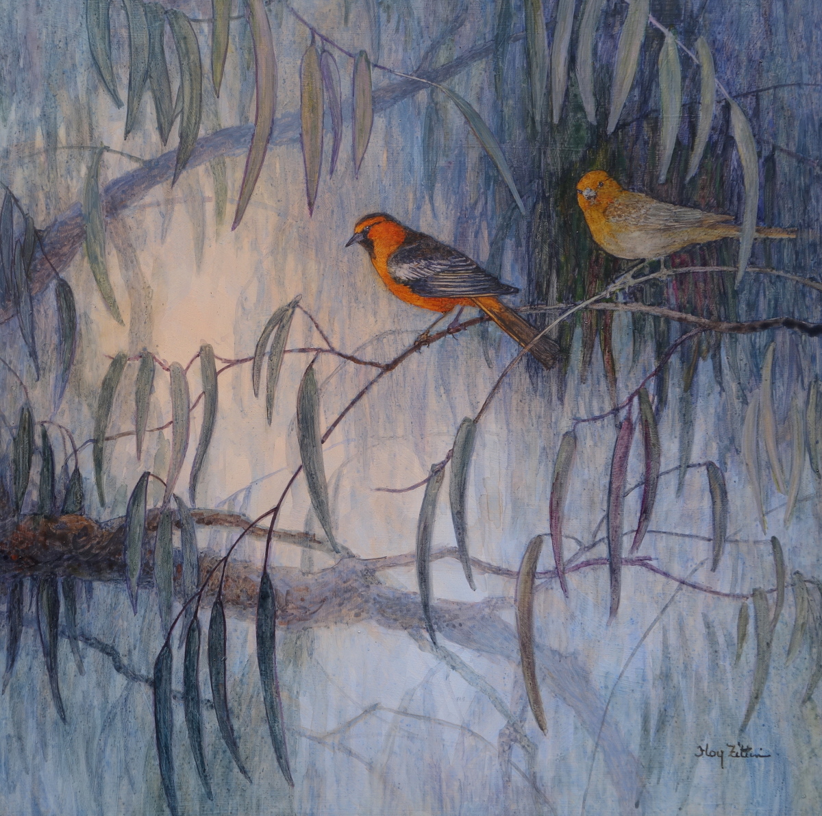 Bullock's Oriole Pair1200.JPG