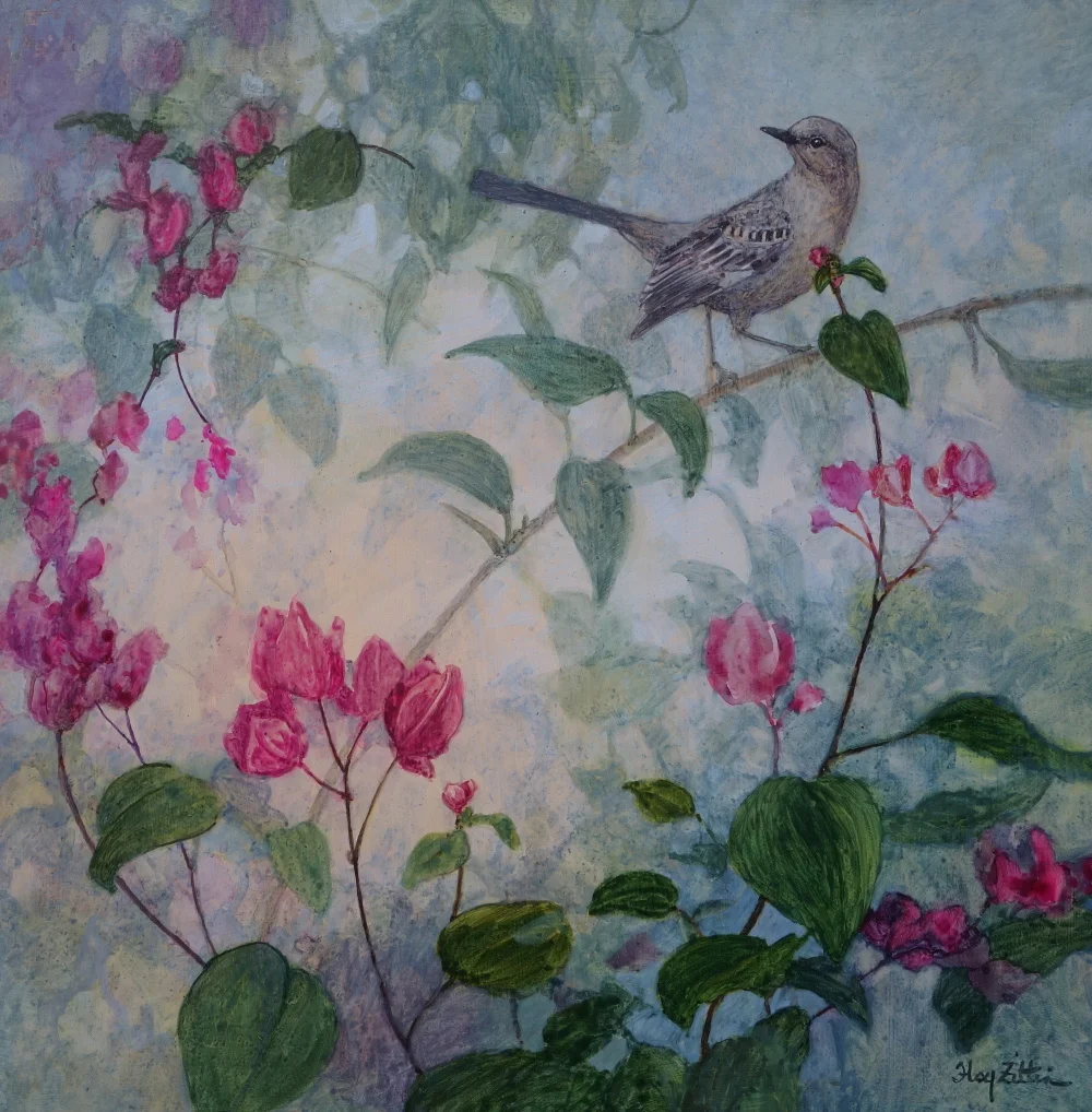 mockingbird and bougainvillea1000.JPG