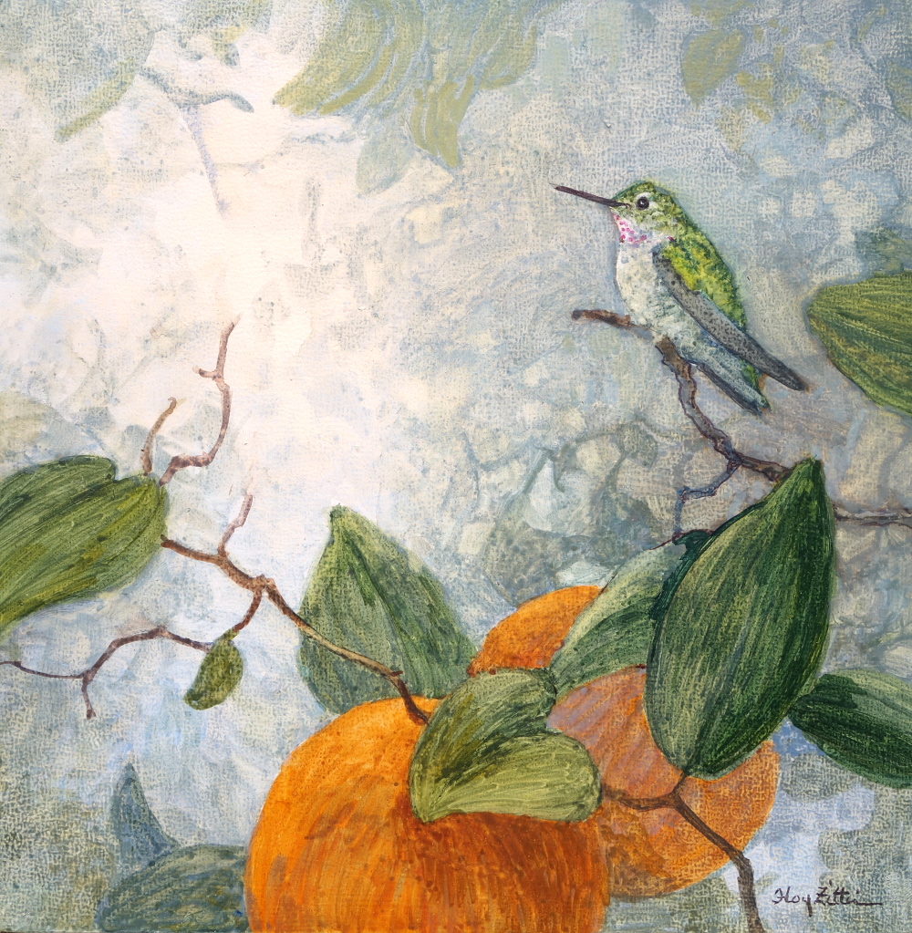 Hummingbird and Oranges1000.JPG