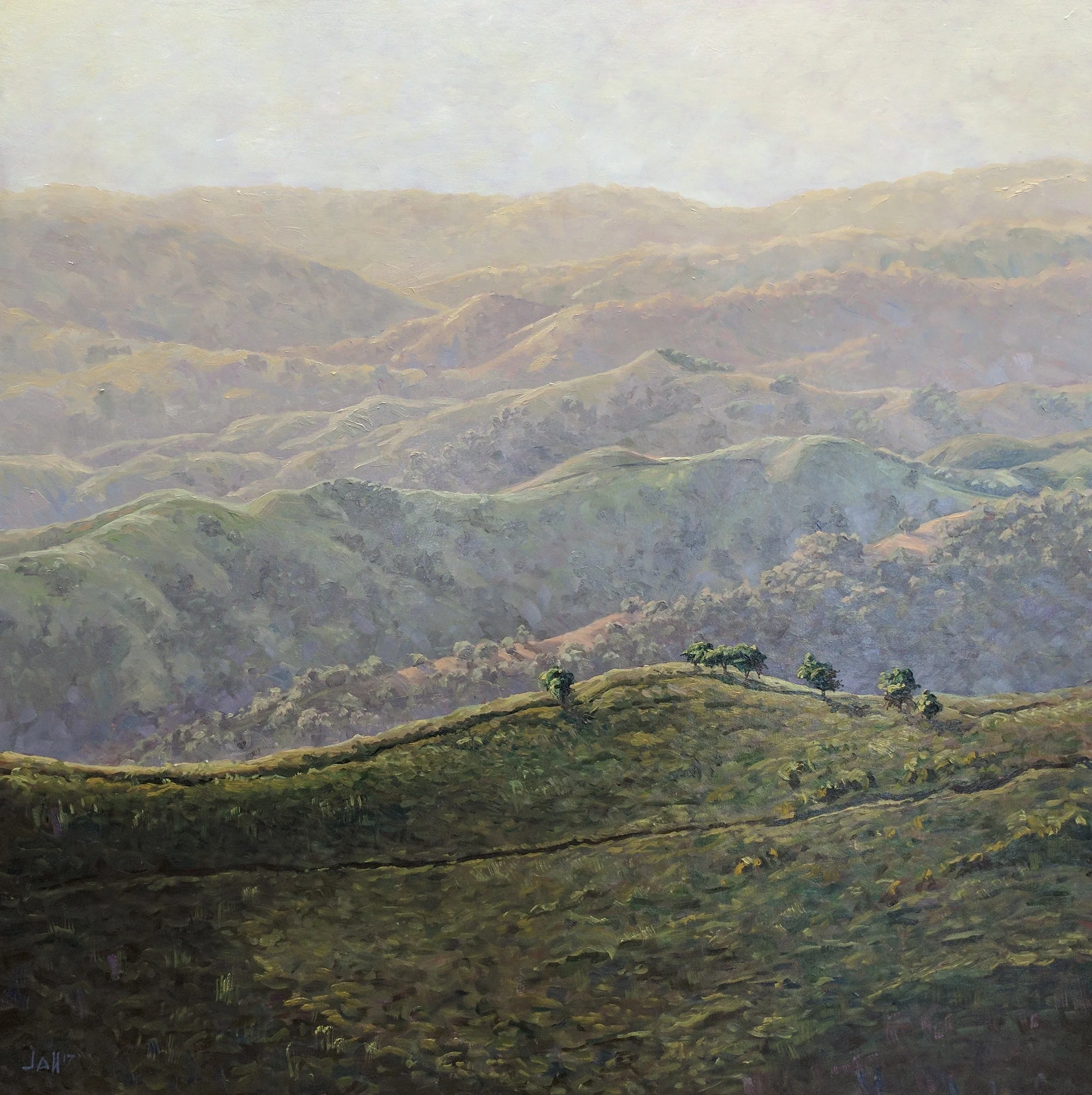 Spring Light 36 x 36.jpg