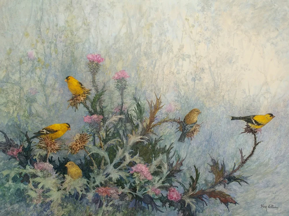 Goldfinch Thistles1000.jpg
