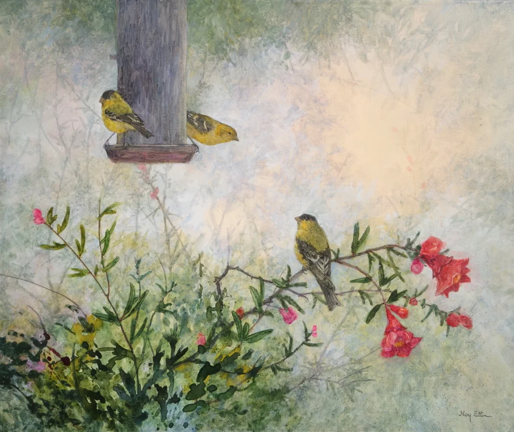 Lesser Goldfinch Feeders1000.JPG