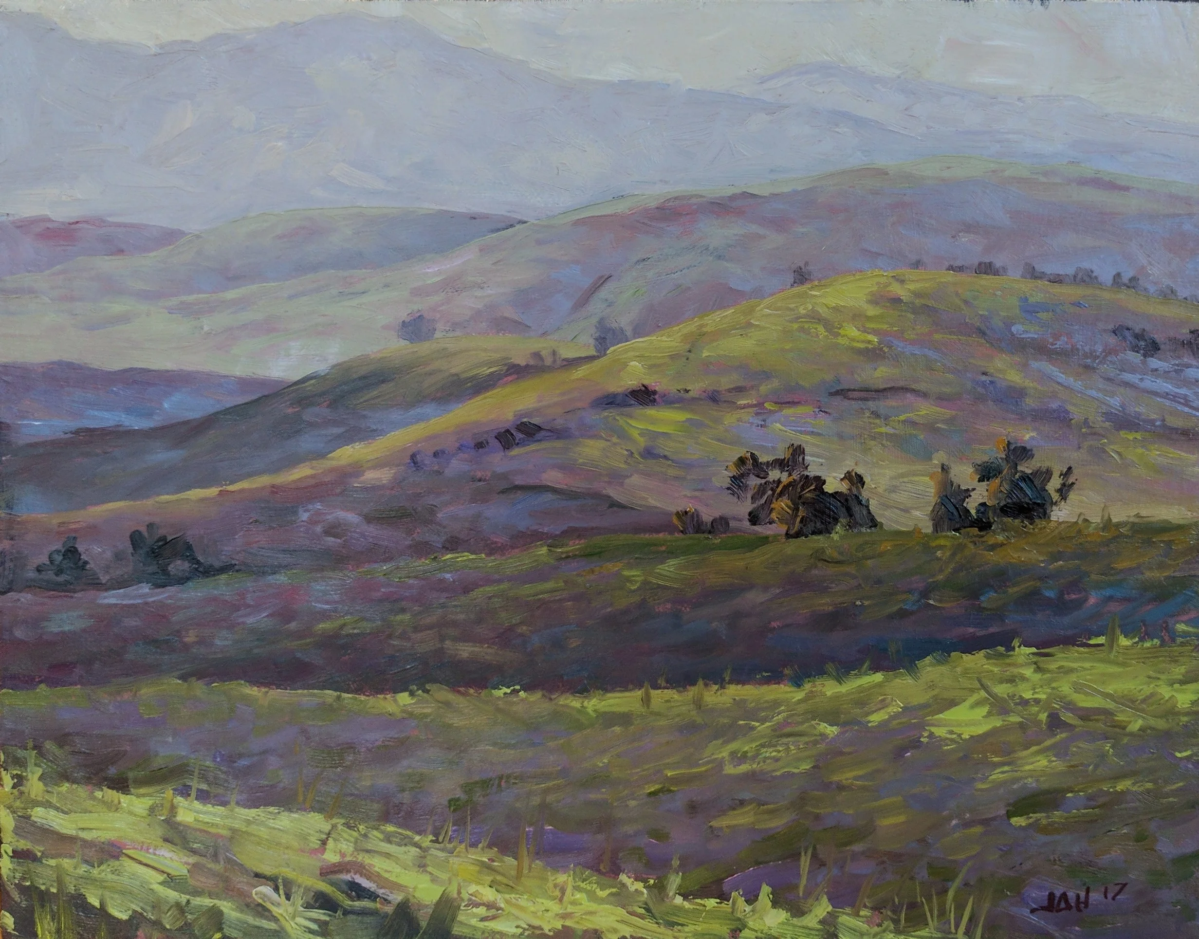Morgan Territory Hills 14 x 11.jpg