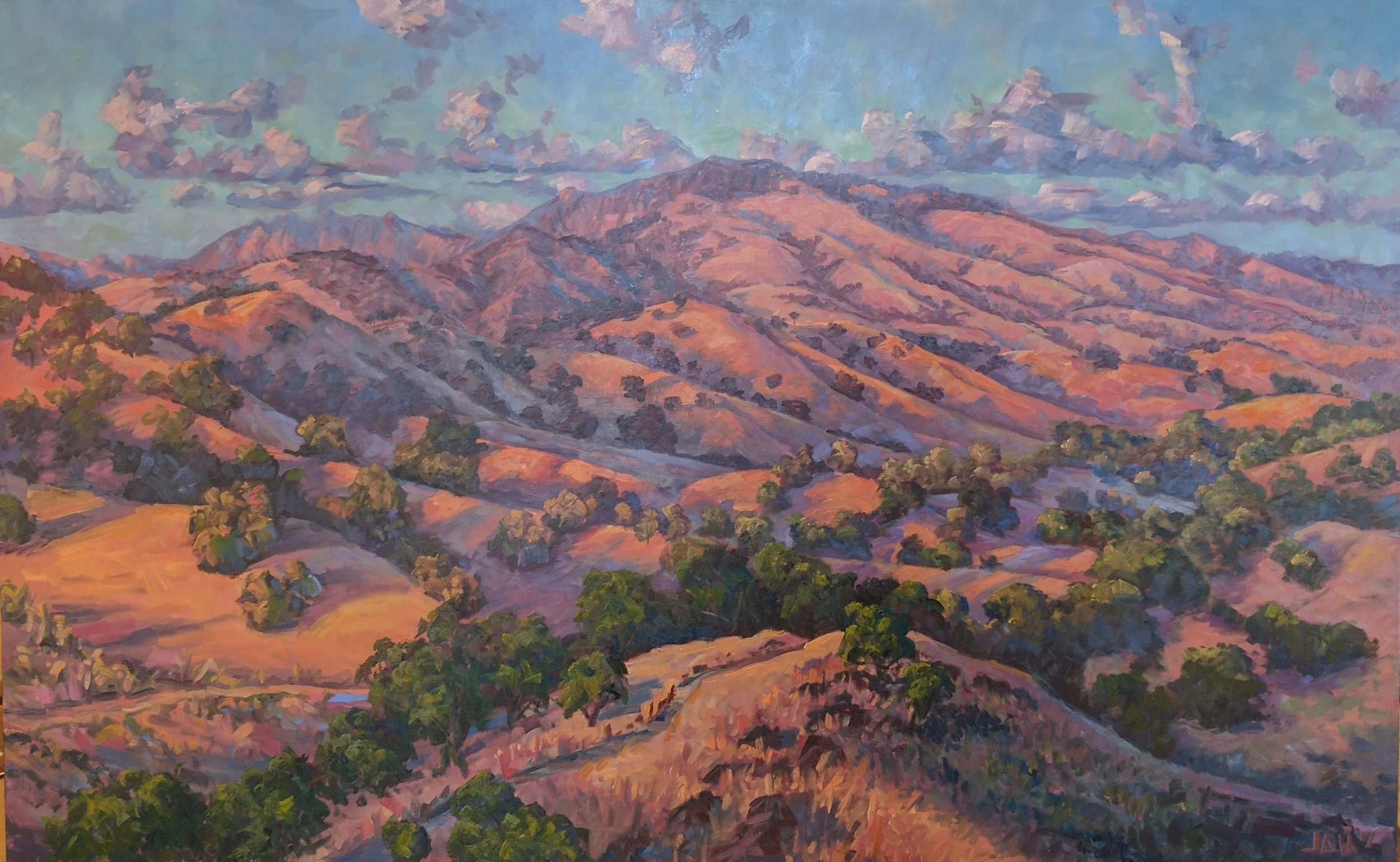 Summer Blush - Diablo Foothills Reginal Park 48 x 30.jpg