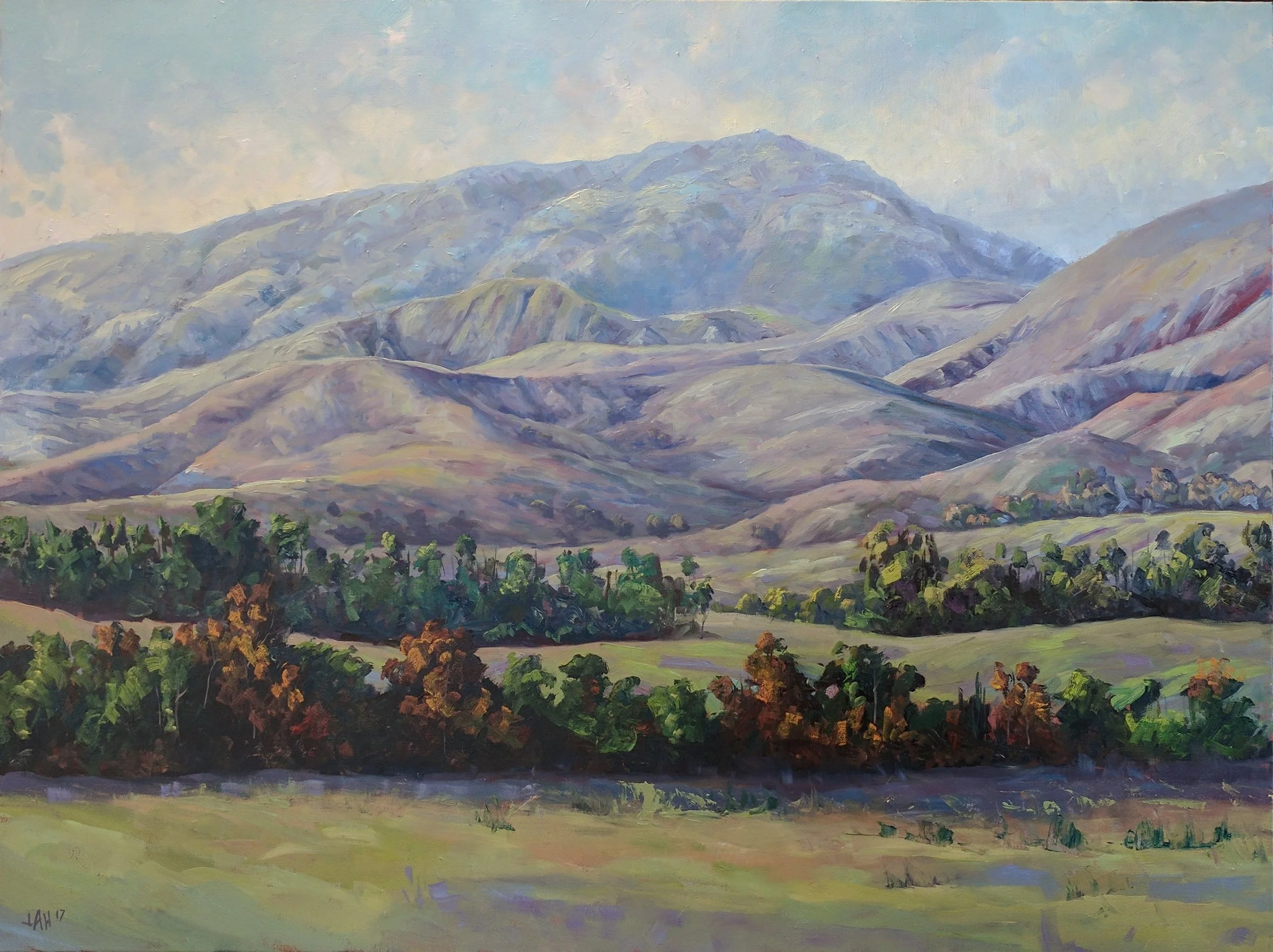 Vasco View 40 x 30.jpg