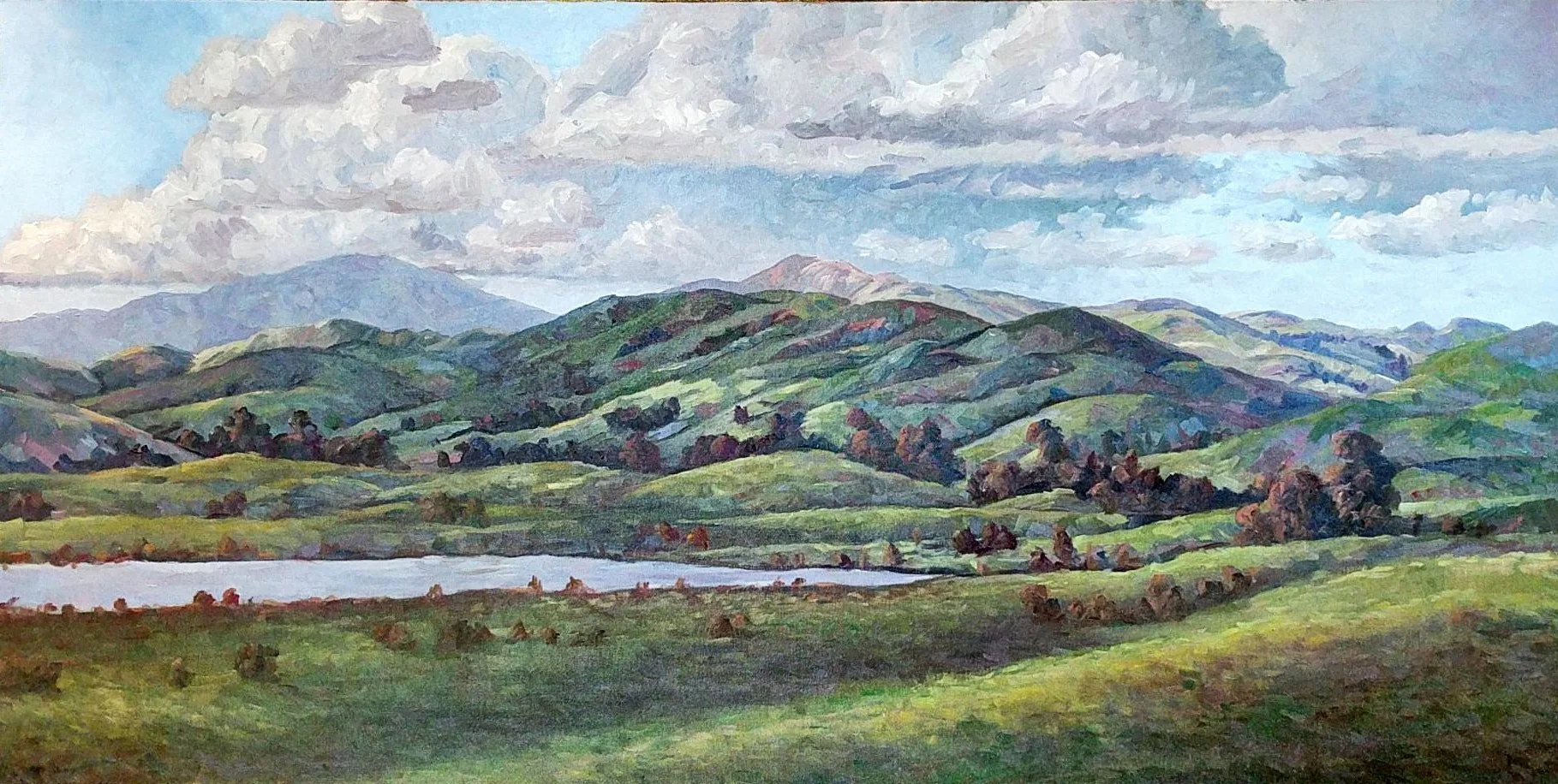 Livermorre Hills 48 x 24.jpg