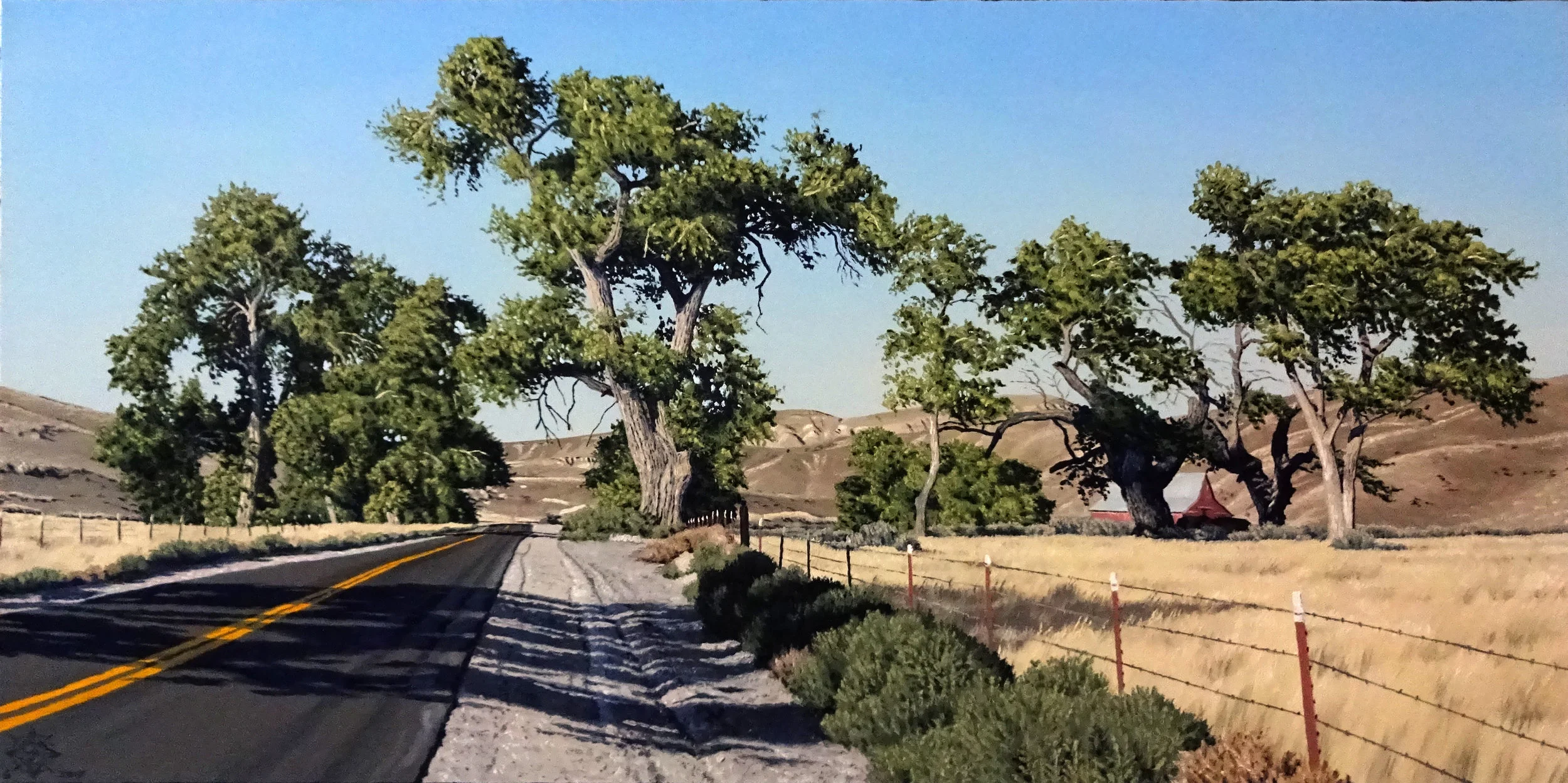 The Defiant Cottonwoods 23 x 18.JPG