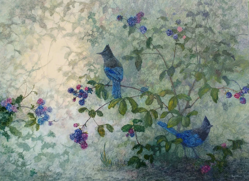Steller's Jays and Blackberries 24 x 18.JPG