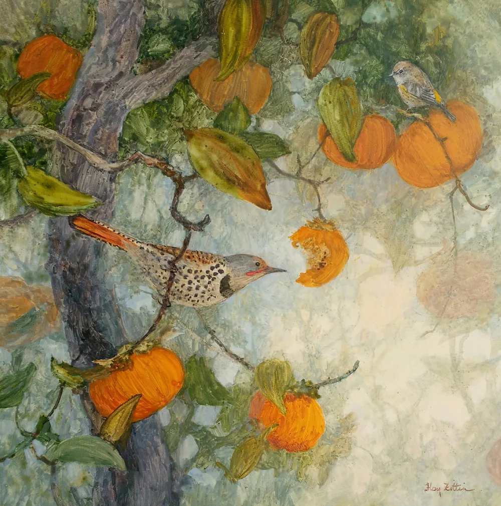 Northern Flicker 16 x 16.jpg