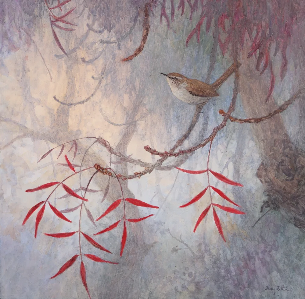 Bewicks Wren 16 x 16.JPG