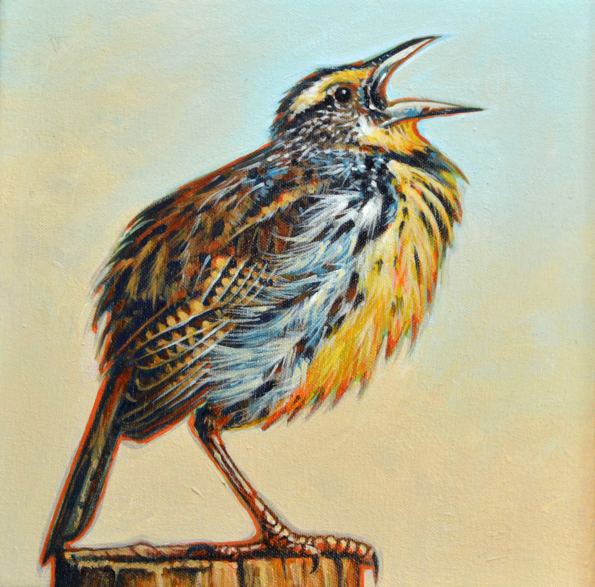 Meadowlark 10x10.JPG