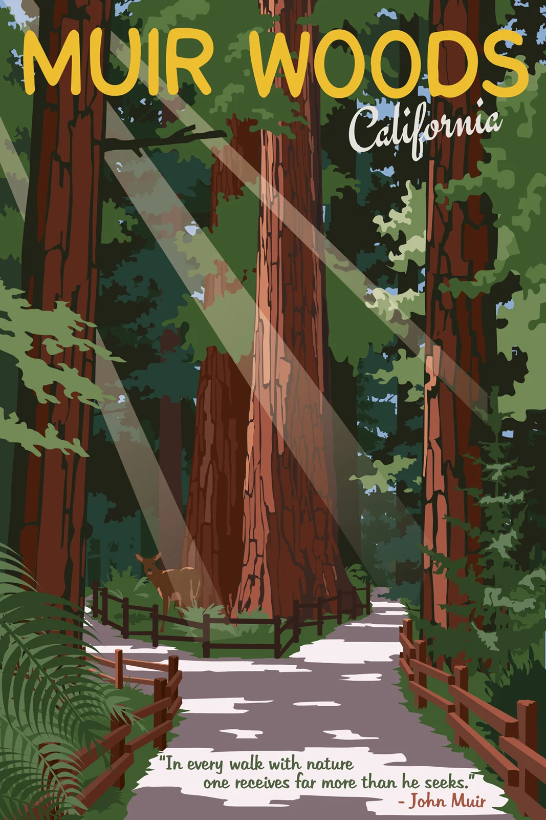 Muir Woods.jpg
