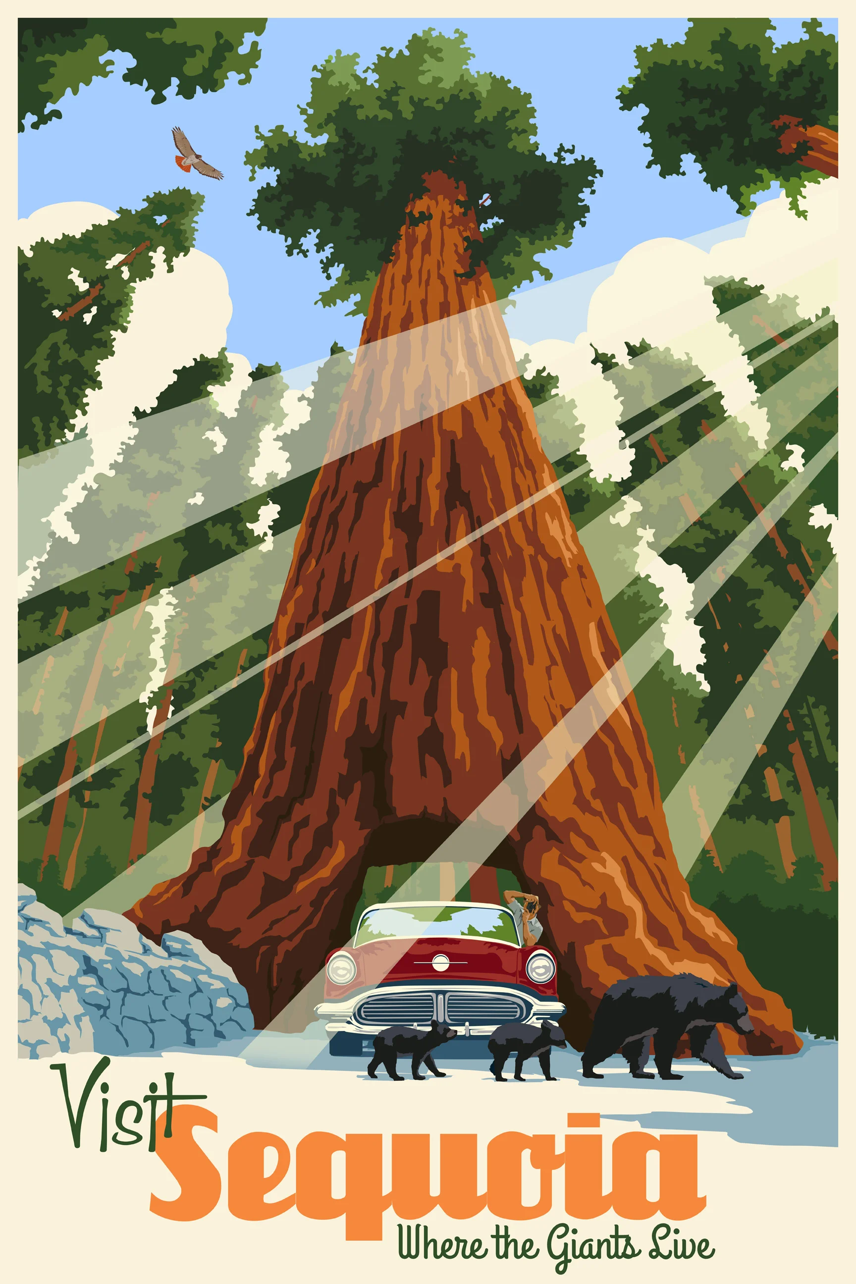 Sequoia.jpg