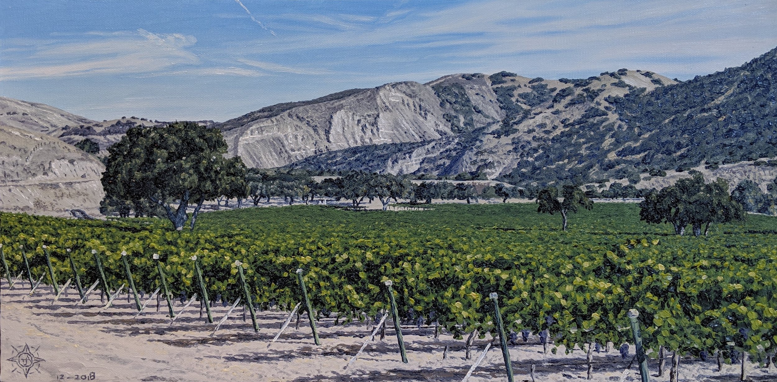 Arroyo Seco Vinyard  24 x 12.jpg