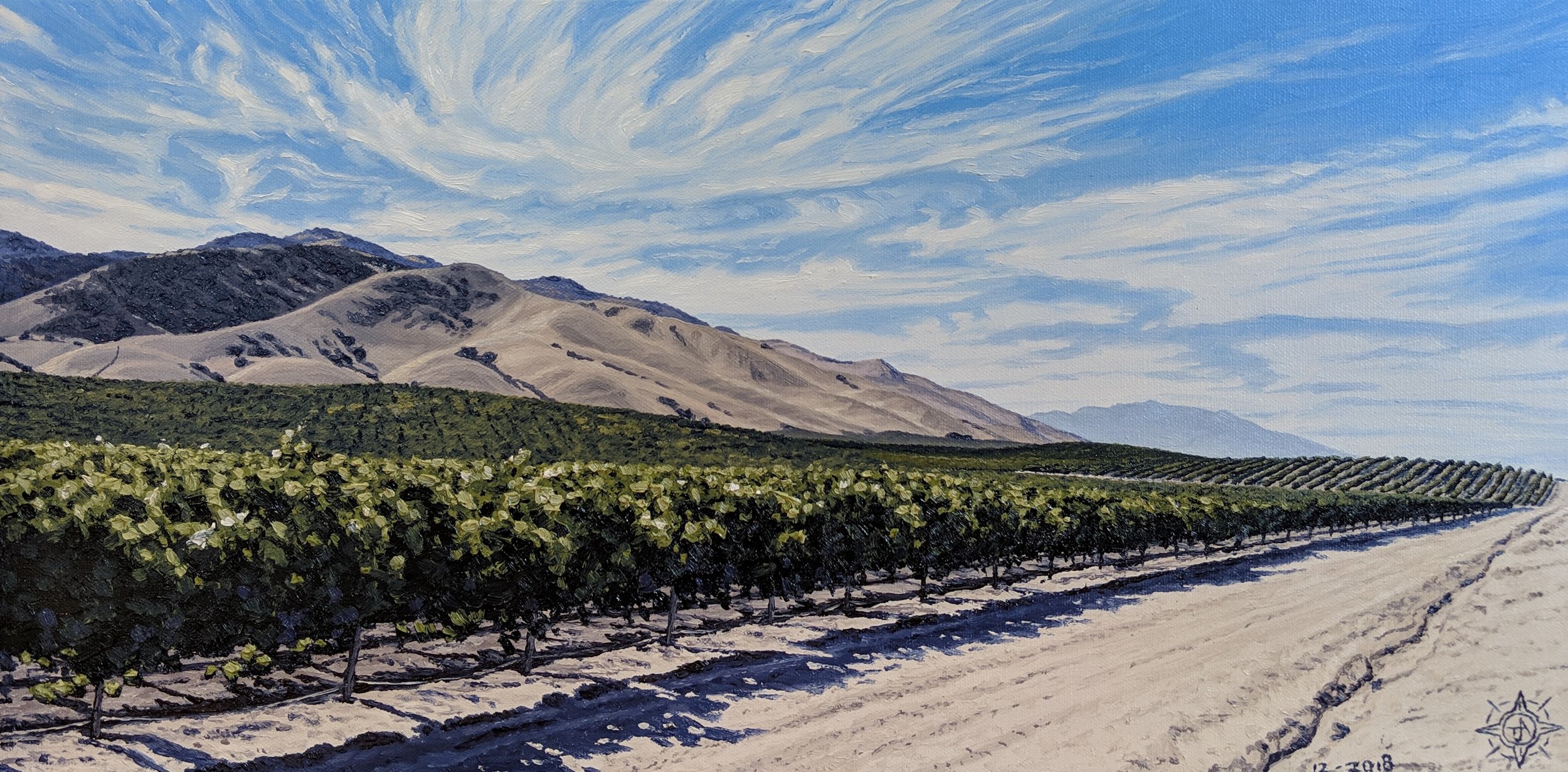 Bassetti Vinyard, Salinas Valley 24 x 12.jpg