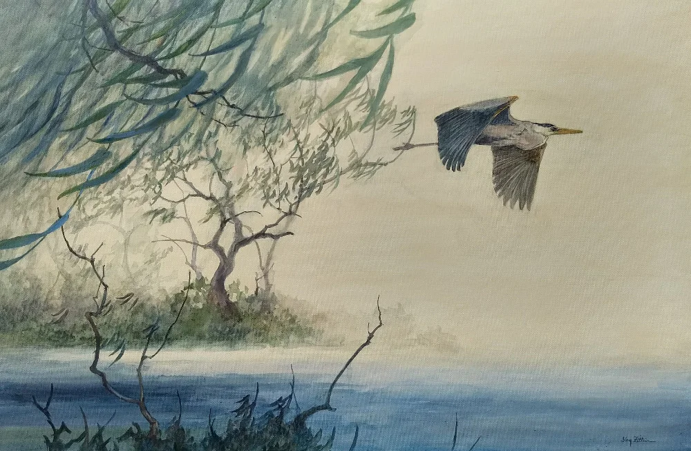 Heron Flying1000.jpg