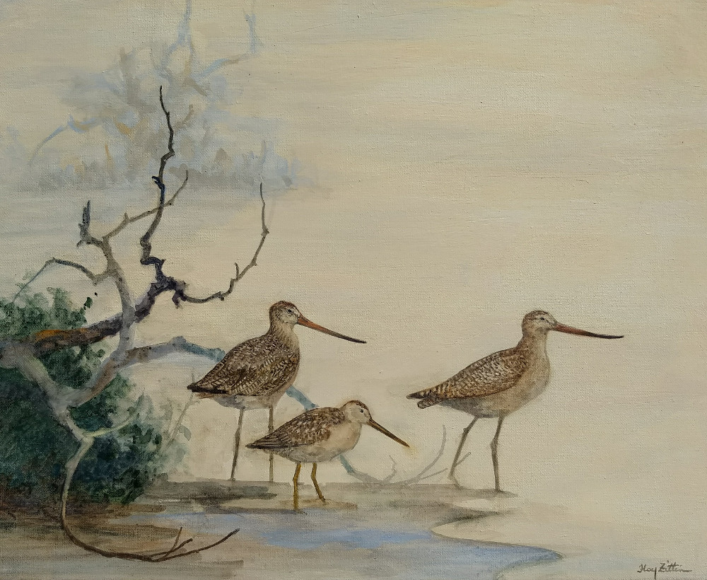 dowitcher and godwits1000.jpg