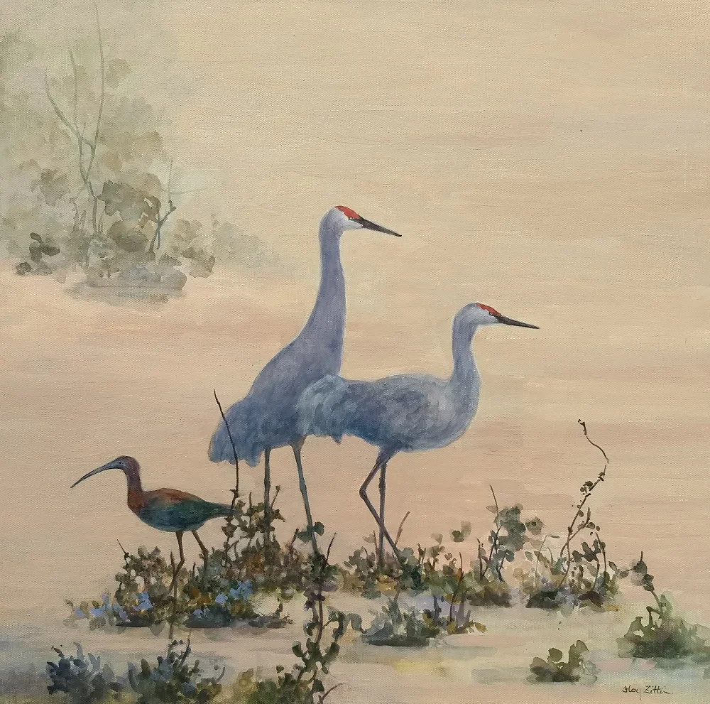 Sandhill Cranes and Ibis1000.jpg