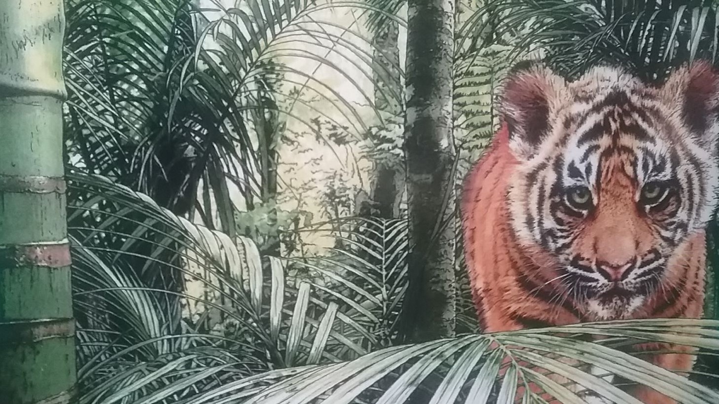 Tiger Cub Cropped.jpg