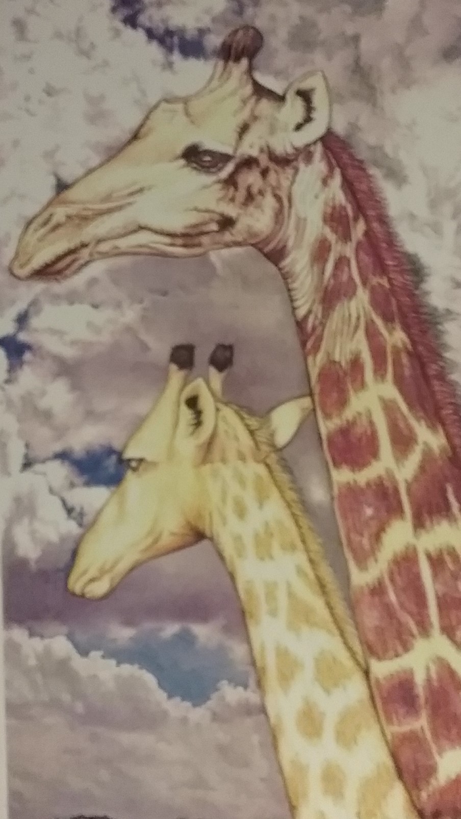 Two giraffes heads.jpg