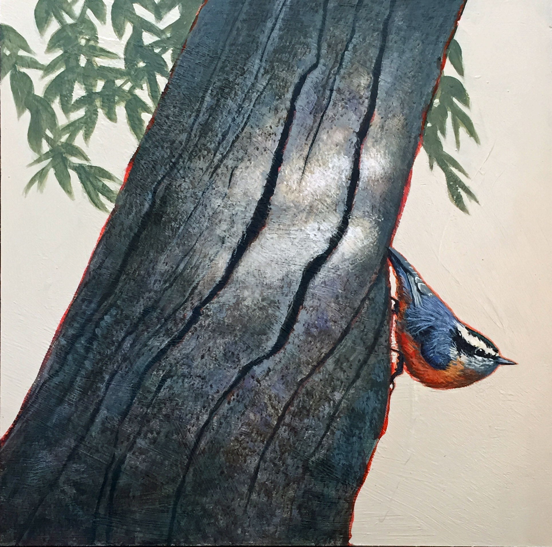 Nuthatch 12x12.JPG