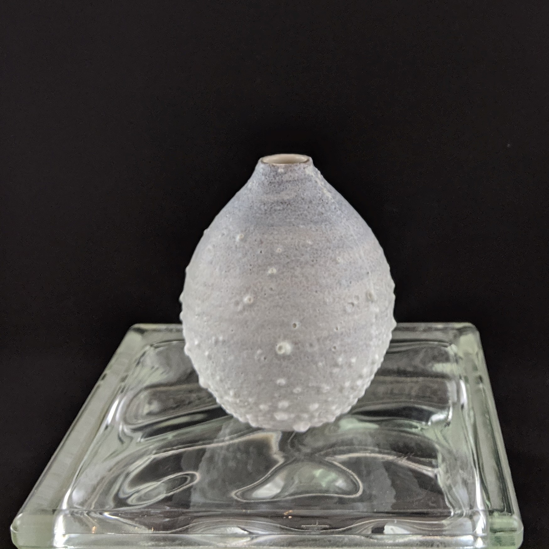 Frozeed Granular Fade Vase 5in.jpg