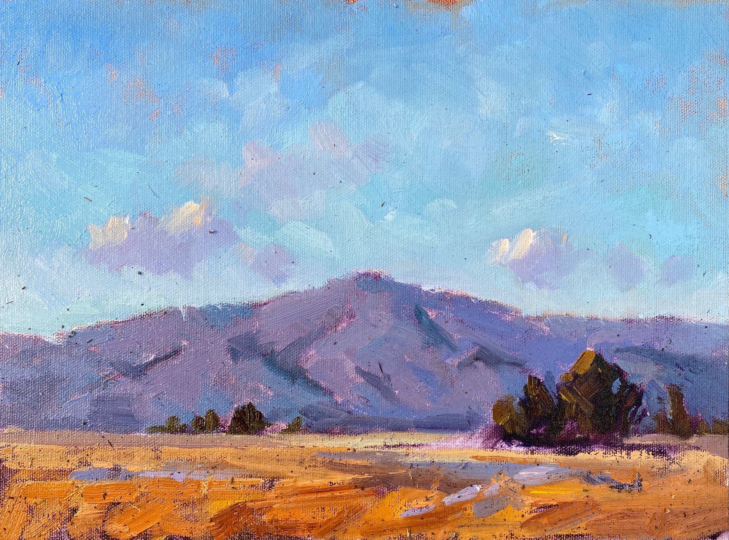 SanJoseHills-$350.JPG
