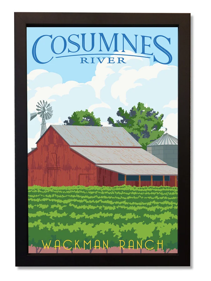 Cosumnes+River+framed.jpg