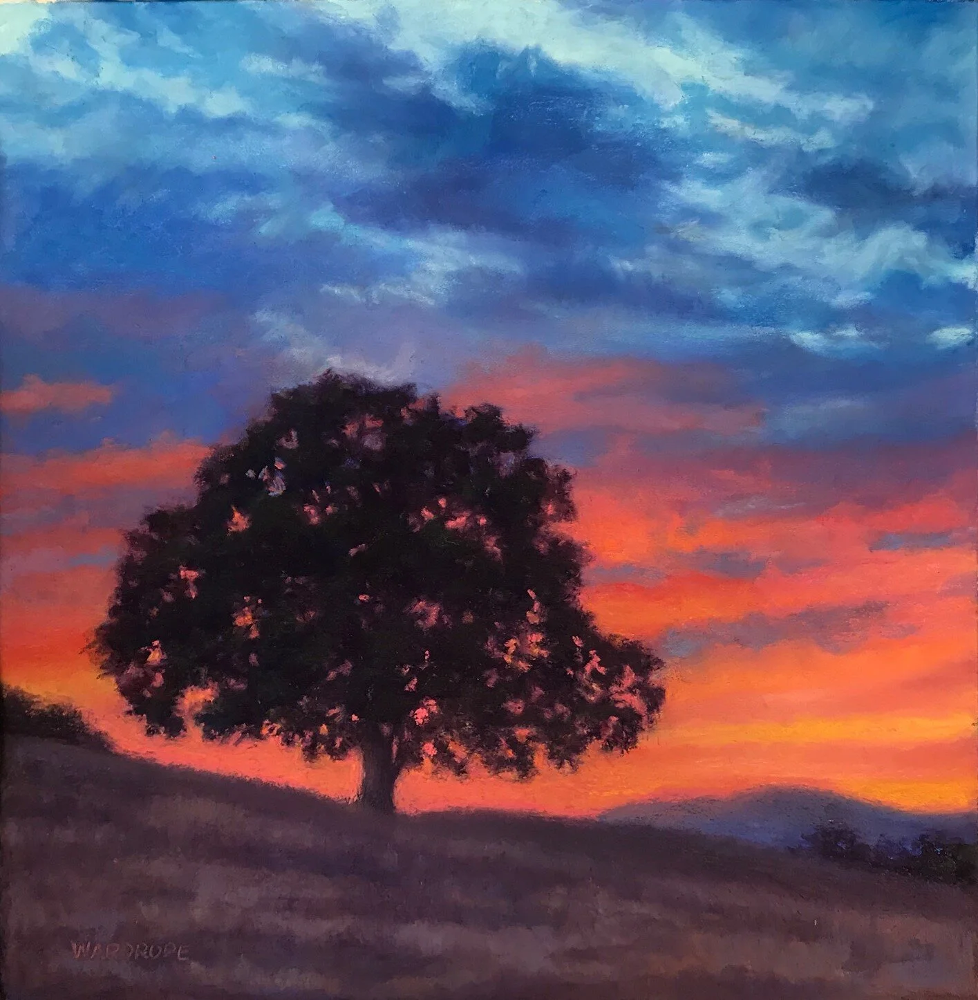 Foothills Oak at Sunset.jpg