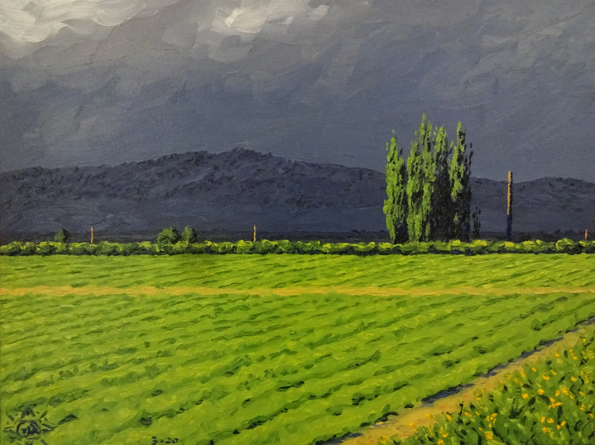 199 Vivid Fields.JPG