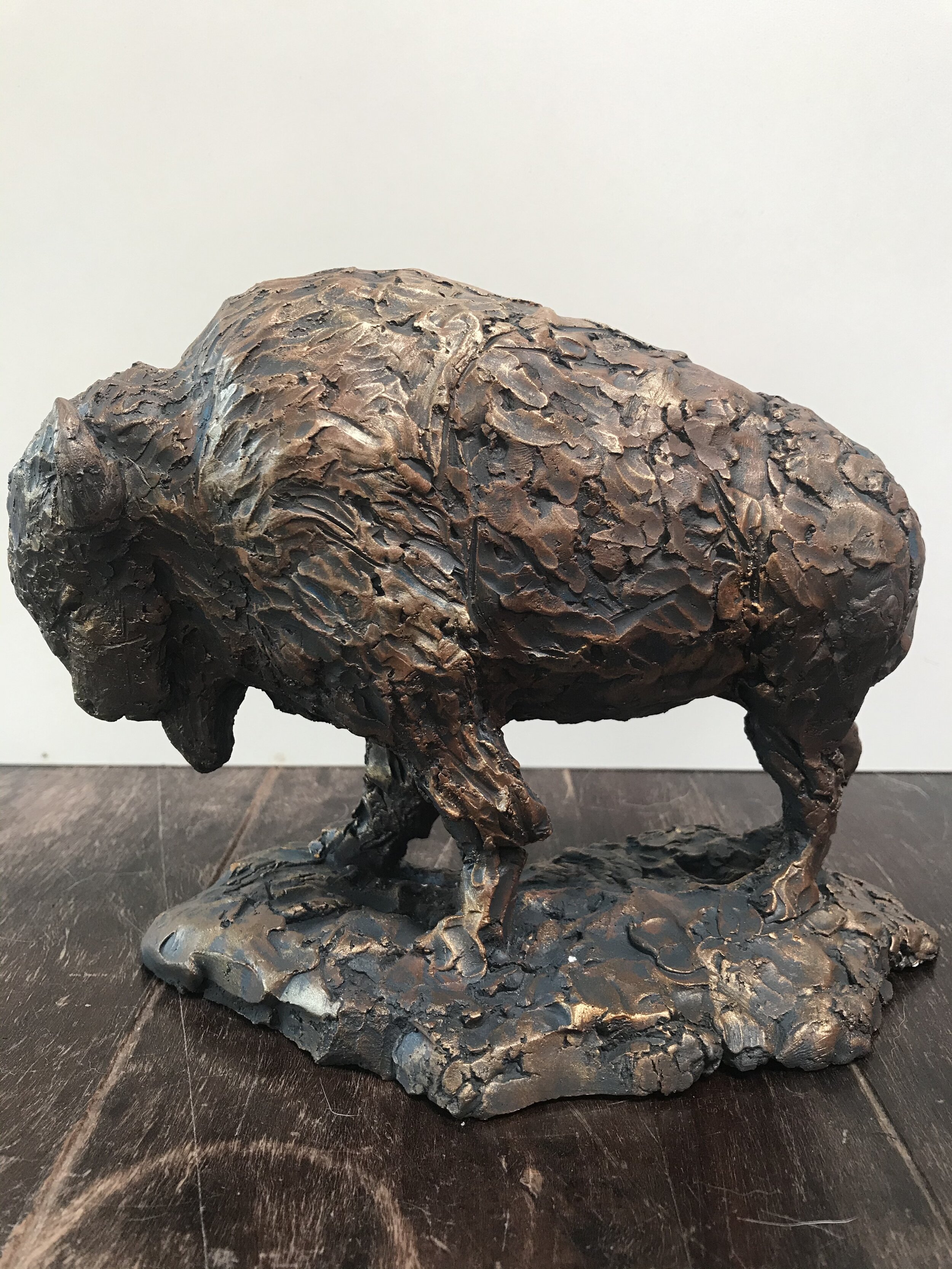 Bison.jpeg