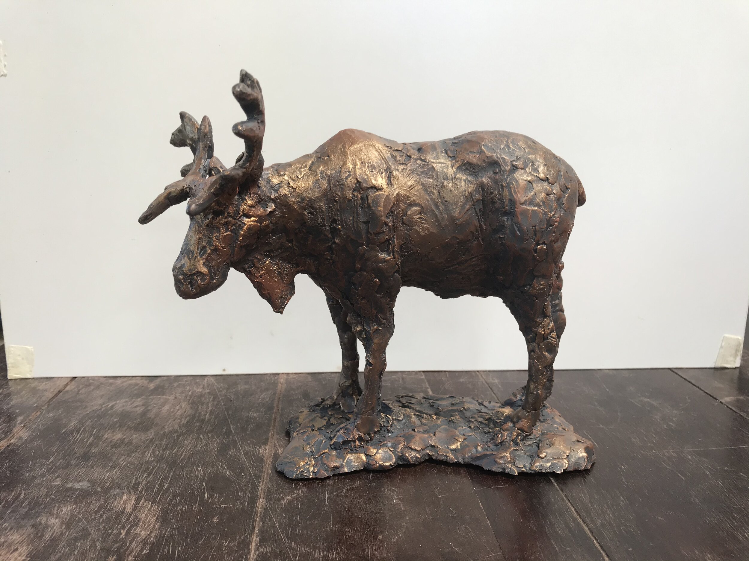 Moose.jpeg