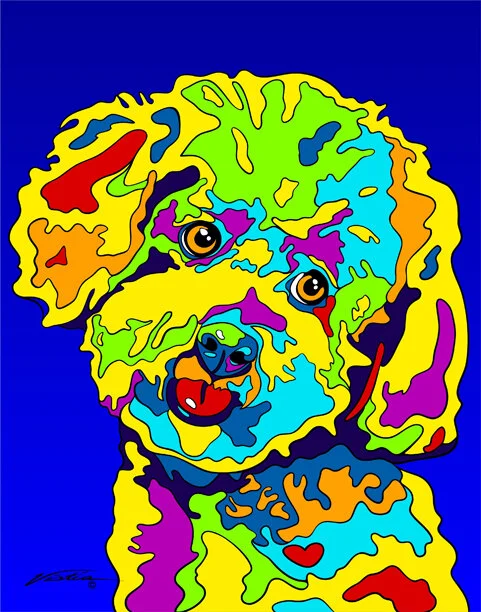 Bichon 1.jpg