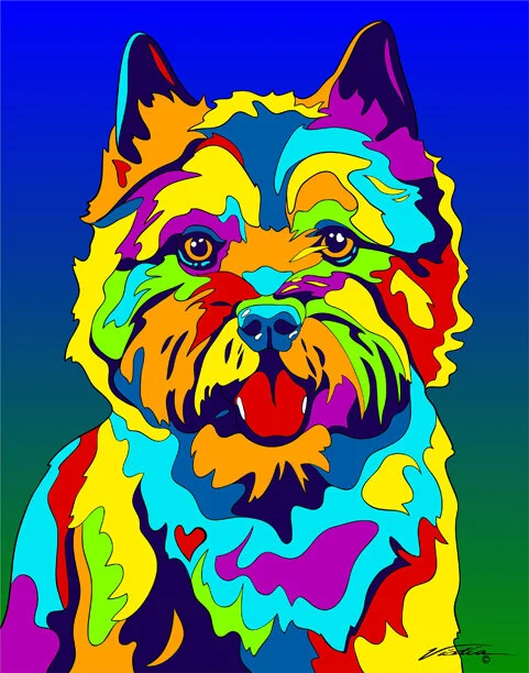 Cairn terrier.jpg