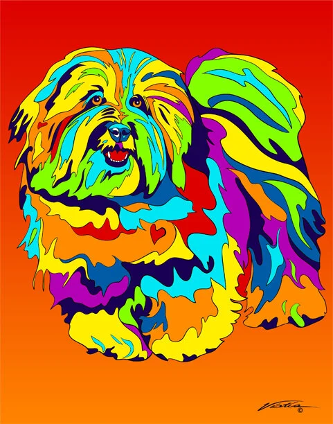 colton de tulear.jpg