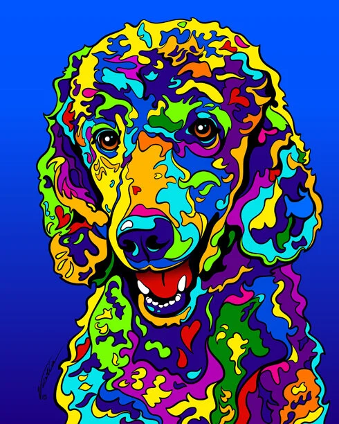poodle standard 2.jpg