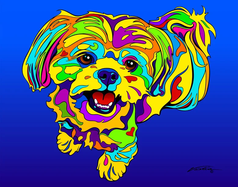 shih tzu 2.jpg