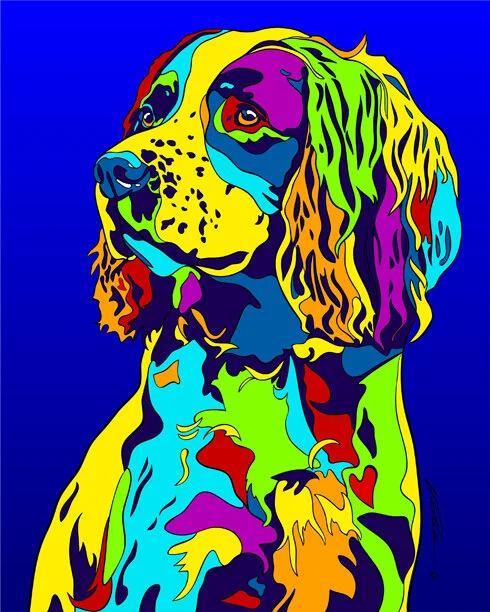 spaniel.jpg