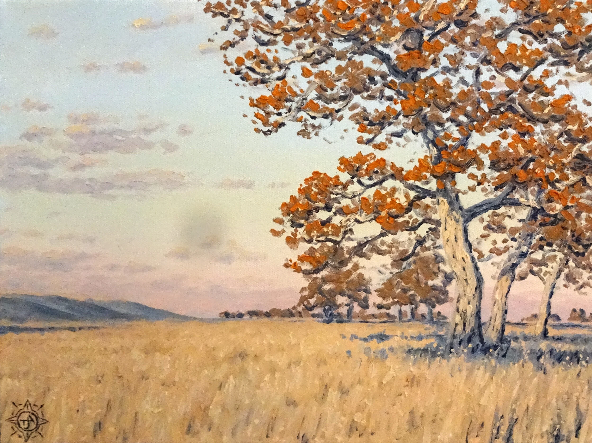 222 Sycamore Sunset, Orestimba Creek.JPG