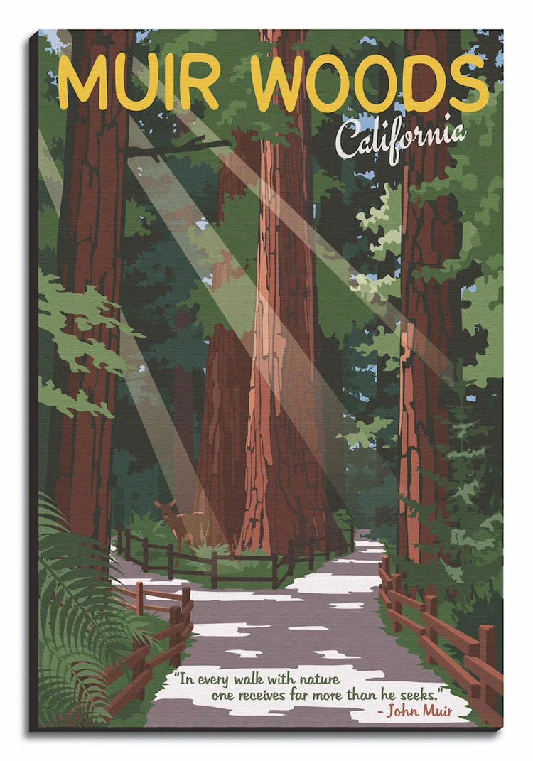 Muir+woods+Canvas.jpg