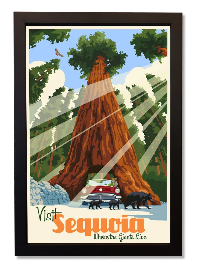 Sequoia+framed.jpg